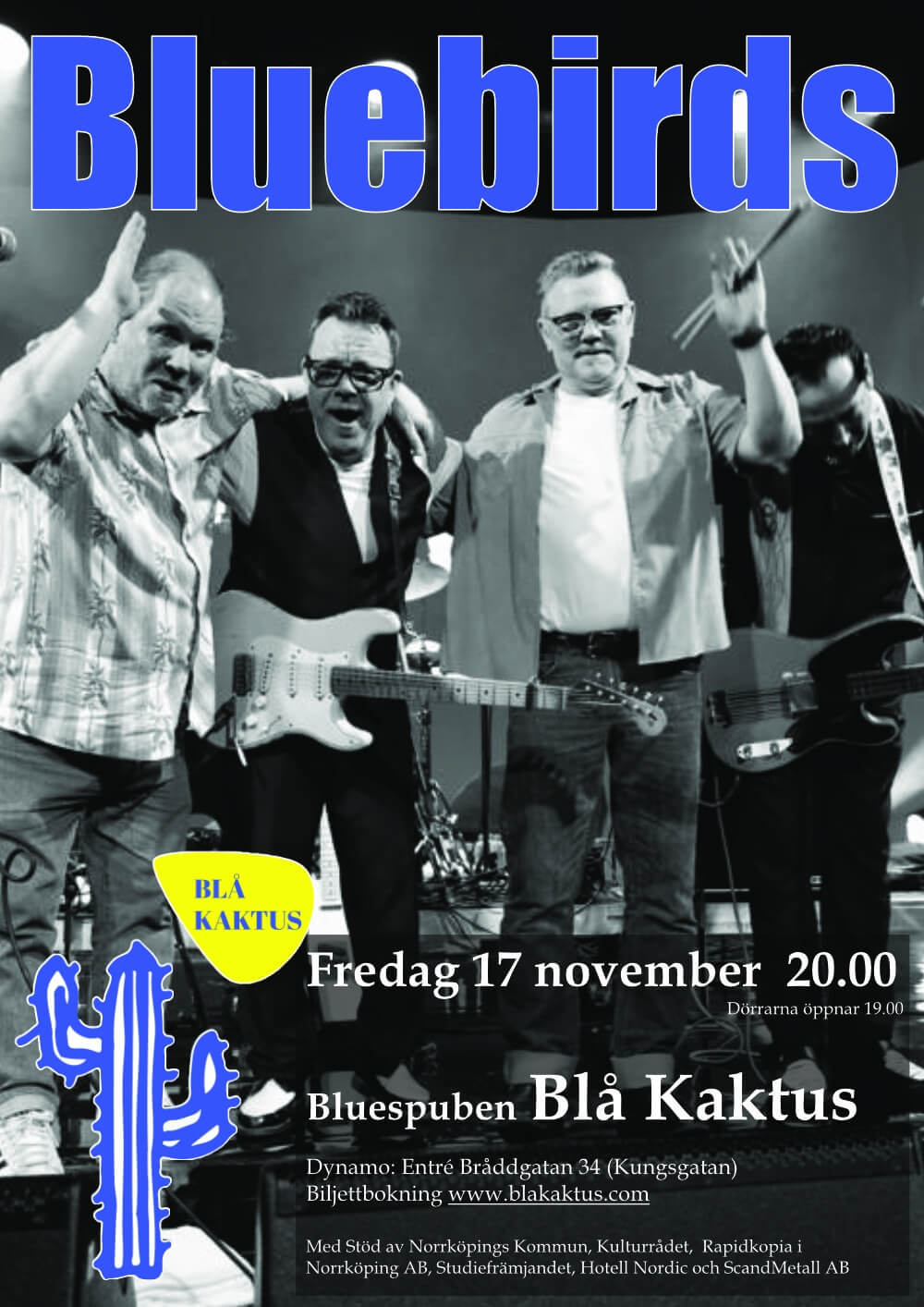 Affisch Bluesbirds 2023-11-17
